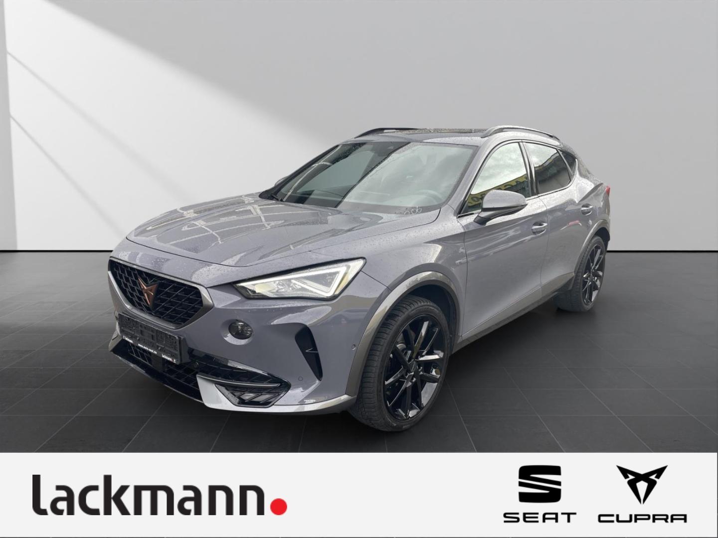 Cupra Formentor 2.0 VZ Pano*eHeck*Beats*Winter*XL*