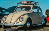 Volkswagen VW kafer. Patina - VW Gebrauchtwagen von 1960