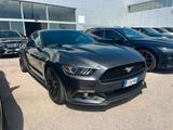 Andere Mustang SHELBY Line - Andere: Leder