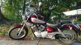 Yamaha XV 250 Virago - Angebote entsprechen deinen Suchkriterien