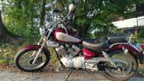 Yamaha XV 250 Virago - Offers matching your search criteria