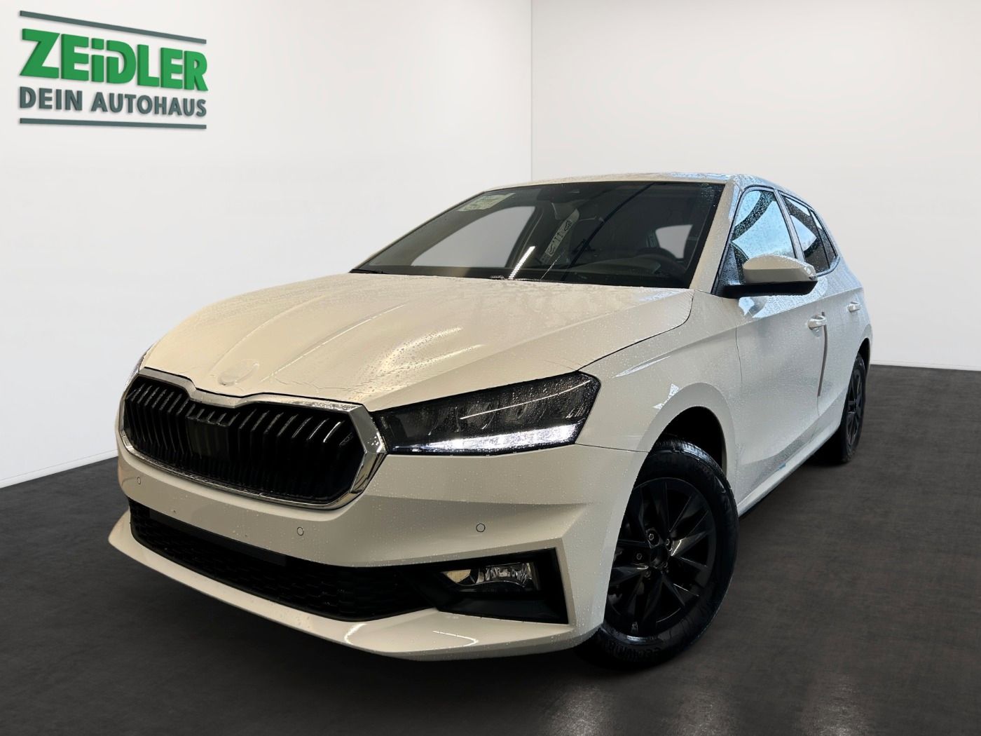 Skoda Fabia 1.0 MPI Selection LM KlimaA beh. FS