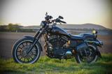Harley-Davidson Sportster 1200 Custom - HARLEY-DAVIDSON 2002 SPORTSTER 1200