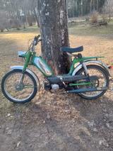 Hercules m5 - HERCULES VON 1 BIS 50 CCM