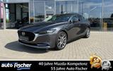 Mazda 3 FB 2.0 (186PS) Schalter Selection Des-P. Prem- - Mazda 3 in Frankfurt (Main)