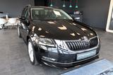 Skoda Octavia Combi 1.6 TDI Style SHZ LED PDC APPLE