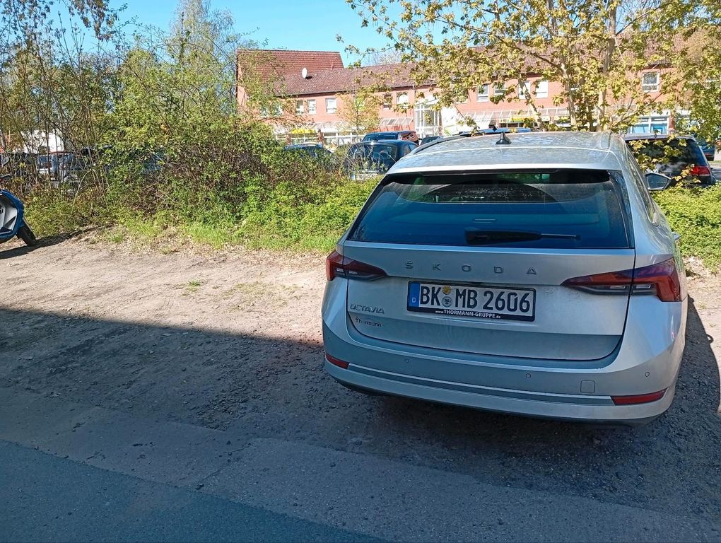 Image of Skoda Octavia