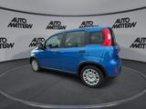 Fiat Panda 1,0 Hybrid PDC TFT Tacho Klima Bluetooth - Fiat Panda Gebrauchtwagen in Bielefeld