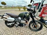 Triumph Scrambler1200XC|EZ03/24|Gar03/28|matt-khaki - Offers