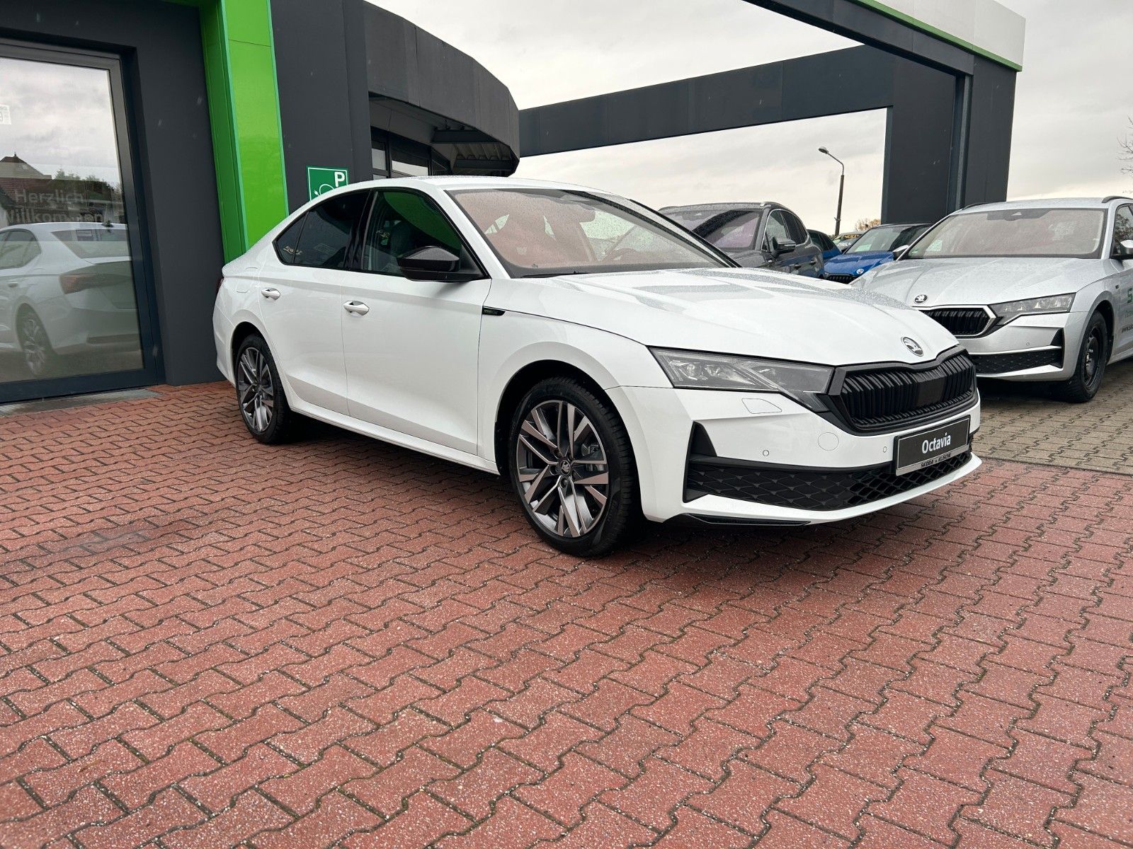 Skoda OCTAVIA Lim. Sportline 1.5 TSI mHEV 150 PS DSG imagem 3