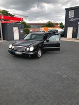 Mercedes-Benz Mercedes w210 e430 - Mercedes-Benz E 430: Kombi