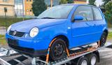 Volkswagen VW Lupo 6X Oxford!!!TÜV NEU!!! - Volkswagen Lupo: Oxford