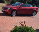 Volkswagen Golf 1.4 TSI 90 kW CUP Cabriolet CUP mit AHK - : Cabrio, mit