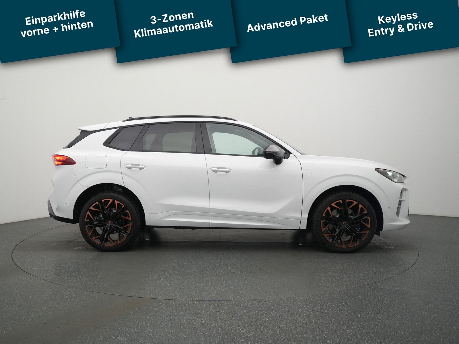 Cupra Terramar - Bild 3