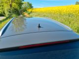 Volkswagen Passat Alltrack 2.0 TSI DSG 4MOTION AHK Klima  - Volkswagen Passat Alltrack mit Benzin-Antrieb