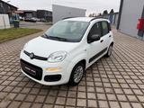 Fiat Panda My Panda - Fiat Panda Gebrauchtwagen in Bochum