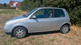 Volkswagen Lupo 1.0 COMFORTLINE Comfortline - Volkswagen Lupo Comfortline mit Benzin-Antrieb