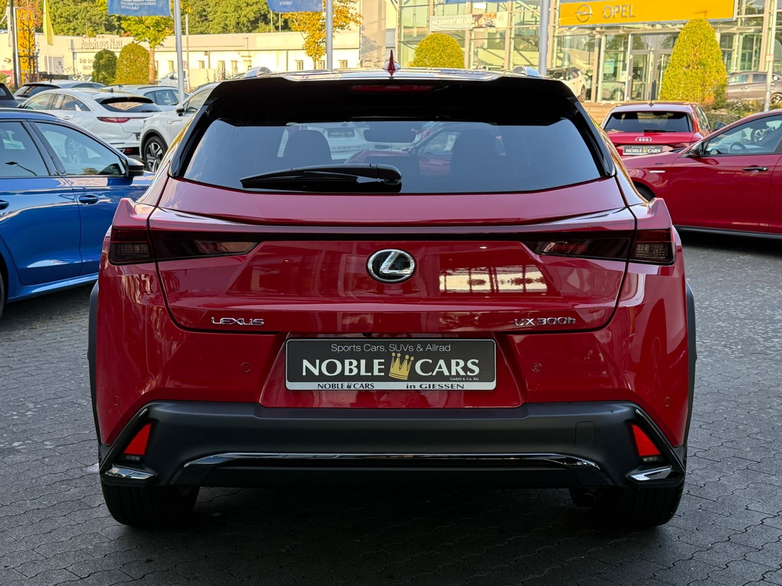 Fahrzeugabbildung Lexus UX 300 h F Sport Design LED NAV ACC RFK SHZ