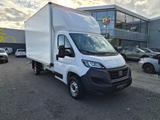 Fiat Ducato Maxi 35 L4H2 Humbaur Koffer - Fiat Ducato: 35 Maxi