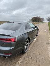 Audi A5 45 TFSI S tronic sport sport - Audi A5 in Frankfurt (Main)