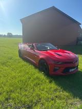 Chevrolet Camaro 6.2 V8 Cabrio Sport AT Sport - gebrauchte Chevrolet Camaro aus dem Jahr 2016