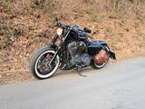 Harley-Davidson Sportster 48 1200 XL Oldschool - HARLEY-DAVIDSON 48