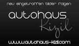 Opel Insignia GSi 4x4 OPC Performance Exclusive Line - Opel Insignia mit Diesel-Antrieb: Leder, Limousine