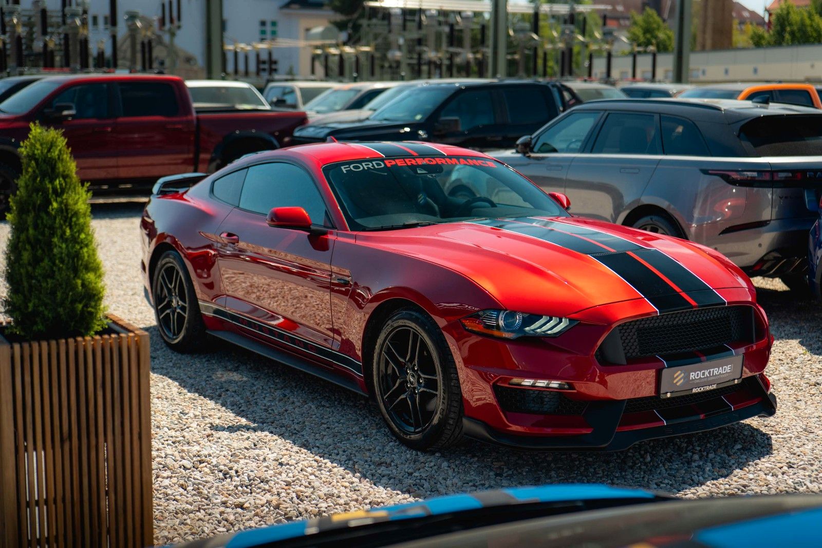 Fahrzeugabbildung Ford Mustang Shelby Coupe GT 350 Package Dark Horse