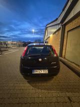 Fiat Punto 1.2 8V Dynamic Dynamic - Fiat Punto in Bonn