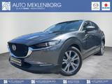 Mazda CX-30 2.0l "X" "SELECTION" "ACT-P" "GSD" "BOSE"  - graue Mazda CX-30