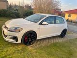 Volkswagen Golf GTI 2.0 TSI (245 PS) Performance SHZ+NAVI+ - mit Benzin-Antrieb: Weiß, Kleinwagen