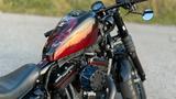 Harley-Davidson Sportster Forty-Eight Custom - HARLEY-DAVIDSON FORTY EIGHT CUSTOM