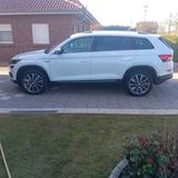 Skoda Kodiaq 2.0 TDI SCR 140kW DSG 4x4 SCOUT Voll! - Skoda Kodiaq in Lübeck