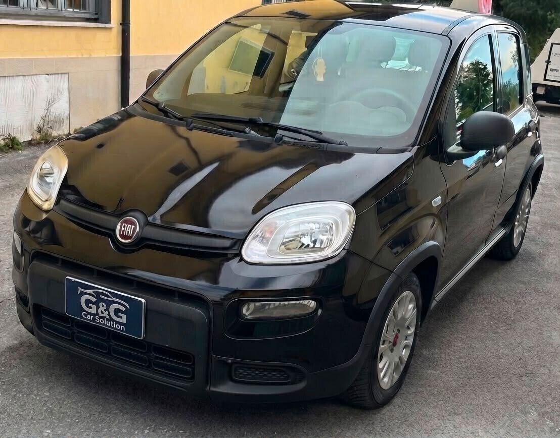 Fiat Panda 1.0 FireFly S&S Hybrid Lounge.