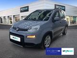 Fiat Panda 1.0 City Plus *TÜV*Service*Klima - Fiat Panda Gebrauchtwagen in Hamburg