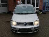 Fiat Panda 1.2 8V Emotion - Fiat Panda Emotion mit Benzin-Antrieb