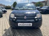 Fiat Panda Cross MY22 City Plus Hybrid 1.0 GS - Fiat Panda in Leipzig