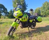 Triumph Tiger 955i | Lime Green | TÜV Neu - TRIUMPH TIGER 955I