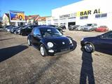 Volkswagen New Beetle Miami HIGH- TÜV 1.28 ALU KLIMAANLAGE - gebrauchte VW New Beetle aus dem Jahr 2005
