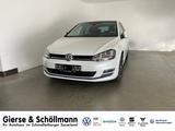 Volkswagen Golf Allstar 1.4 TSI DSG AHK+PANO+NAVI - Volkswagen Golf: Tsi Dsg