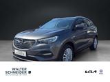 Opel Grandland 120 Jahre  SHZ KLIMA KAMERA PDC Alu - Opel Grandland (X) Gebrauchtwagen