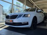 Skoda Octavia Combi Drive 4x4 - Skoda Octavia: Combi Drive
