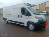 Citroën Jumper*Thermoking-25*Maxi*Standkühler - Offers