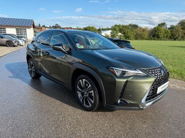 Lexus UX - 3