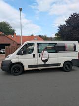Fiat Ducato Diesel Kastenwagen  TÜV bis 1... - Fiat Ducato in Hannover