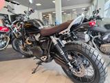 Triumph Scrambler "1200" X, sofort verfügbar - TRIUMPH SCRAMBLER 1200 X