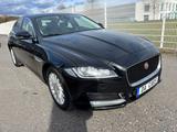 Jaguar XF 2.0 Portfolio Navi+/Leder/6-Gang/EURO6 - Jaguar XF in Köln