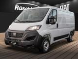 Fiat Ducato Serie 9 Kasten L2H1 Kawa verblecht RückKa - Fiat Ducato in Dortmund