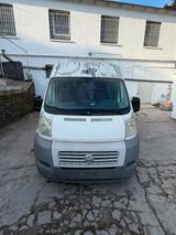 Fiat Ducato L3H2 - Fiat Ducato in Duisburg