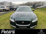 Jaguar XF Prestige 30d Verkauf nur an Gewerbe - Jaguar XF: Prestige